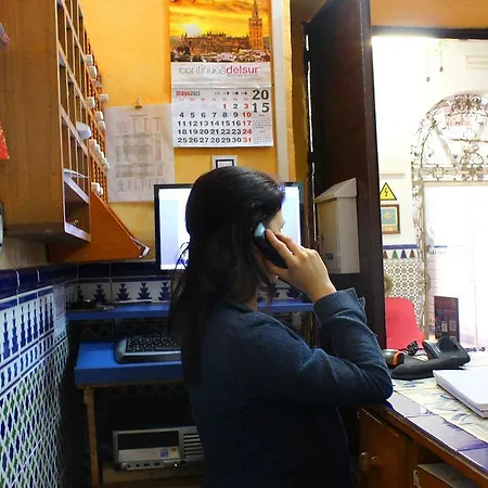 호스탈 리스 *
