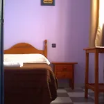 Lis