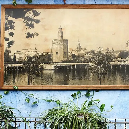 Lis Pensión Sevilla